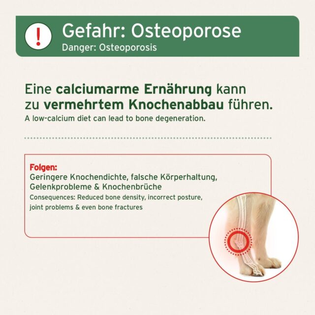 AniForte® BARF-Line Mleté ​​Hovädzie Kosti - Image 4
