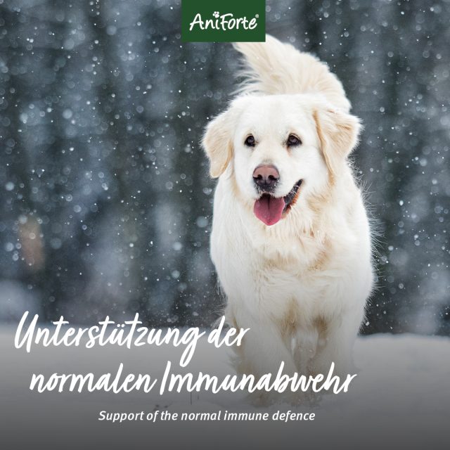 AniForte® Prémiové Kolostrum - Image 4