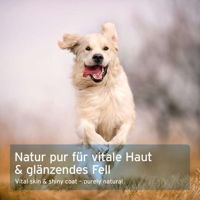 AniForte® Vitálny prášok Fellharmony - Image 3