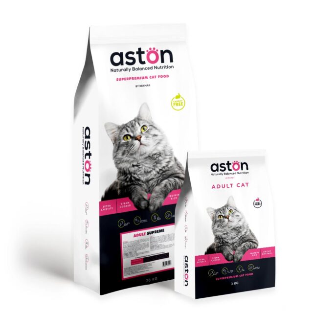 ASTON ADULT CAT - odosielame 9.5. 25