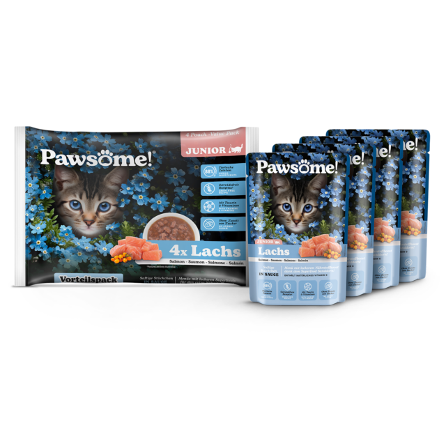 PAWSOME! pre Mačiatka Kitten - Losos - Image 6