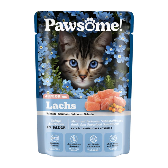 PAWSOME! pre Mačiatka Kitten - Losos - Image 5