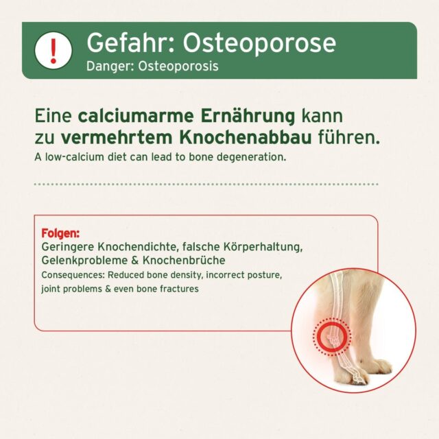 AniForte® BARF-Line Mleté ​Konské Kosti - Image 4