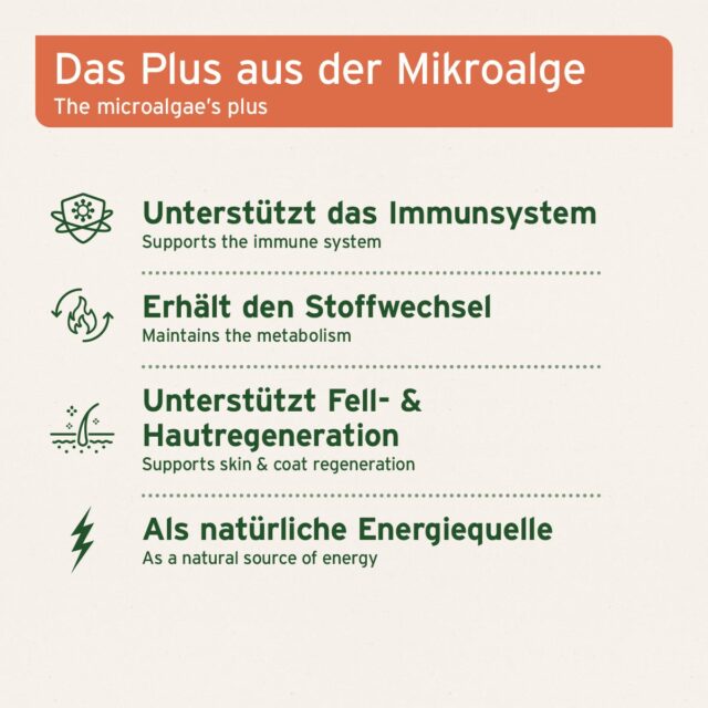 AniForte® Organický prášok Spirulina - Image 3